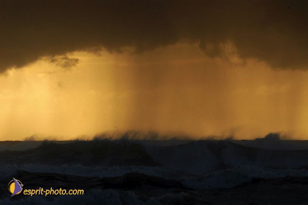 Nom de l'image : EP08-0345_(c)Norbert-JUNG — Description :